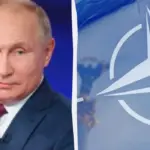 Військові формування НАТО
